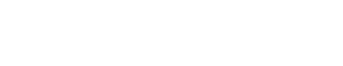 DNSHosting Hosting logo light